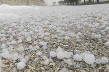 220197122544502398944