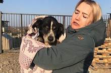 News-P-439672-636912697028518676