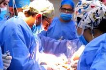 1-1245311-jpg-52755452300388188