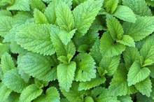 d6b7ba45-3cf6-44fc-97ce-0528f9bf501a_16x9_1200x676