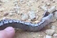 b4e5388d-cbb7-4d86-9be9-9d9d3b86af92_16x9_1200x676