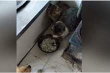 Doc-P-572242-636897247425231439