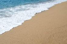 5cbc592cd43750535d8b4572