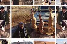 c768bd7a-0a73-4816-8041-8a36b8c0ec72 (1)