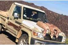 3c744f2489fcecdf97b31cdd51cc7240