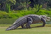 5cbfef9dd43750e54f8b4607