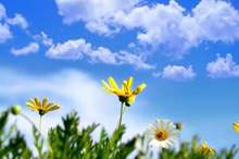 ff4ba34571915c6d1d9a76c771c6f20e