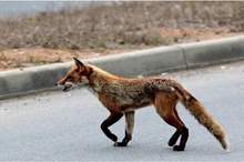 5cbed6ced4375034178b45d3