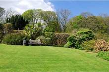 News-P-440394-636916241655682134