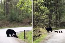 News-P-440165-636915351357917399