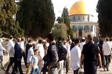 1127033fe4421601afe0675b22f0ca0a_128