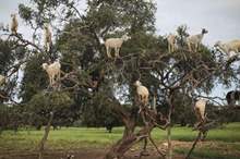 Doc-P-580642-636917139018913197