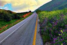 4201911101456424524091