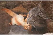 803b1ced-70c1-4b9f-96f3-70a76c74bfa6