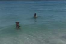 5cc1d2fed437507c2a8b45e2