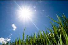 56542-jpg-1844386014439538-1551079967