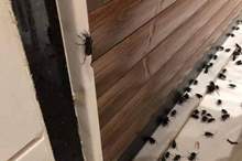 0f8fc051-2abe-428b-a95e-5cc8f69b11c8