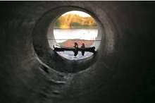 5cc6eec5d437501b358b4608