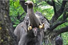 5cc6dacdd437501b358b45c6