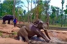 5cc71d4995a597f22d8b458f