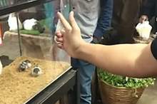 12760252-0-image-m-39_1556293732927