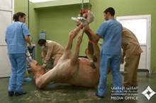 5ca37f3a95a5974c488b45fb