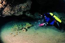 5ca372fe95a59730468b460b