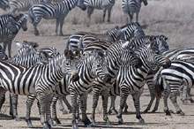 5ca46640d437501f1b8b45ac