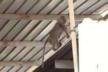 5ca4b04e95a597234c8b456f