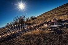 5ca4a8c1d437501f1b8b4620