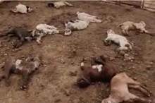 fbcbdd57b8948385253c03b0df289ef0