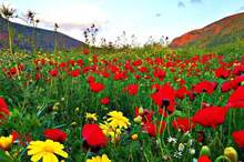 WhatsApp Image 2019-04-04 at 8.01.44 AM