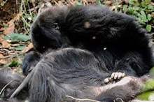 Doc-P-573605-636900545396396327