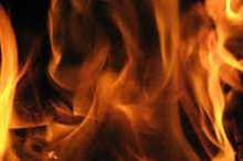 20276232741388966784