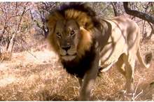 5ca7747595a597ca348b4577