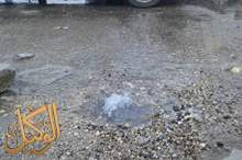 56353963_2203219233097395_5757481287526907904_n (1)