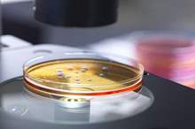 5cac6140d43750bb0d8b4596