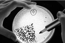 main_image5cac92b1b52e6