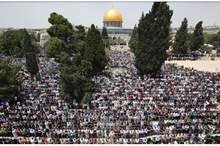 thumbs_b_c_8815b5521d8453cda183afd24f8bcde5