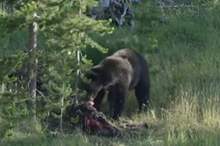 Doc-P-586025-636930967866032460