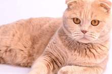 5cd2ee85d437506e508b461f