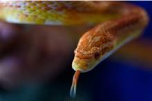 5cd2d37595a597f67c8b45a8