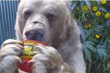 5cd2f38dd43750ef4f8b4610