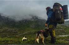 5cc7fed1d4375085178b4599