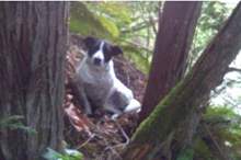 5cc848d795a5973d128b4588