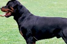 5cc711a3d437501d528b4573