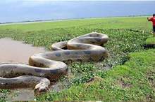 315ac2f21f3ab8406977f14383bce9a774c1484d-300419173257