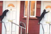 fd3cb2f3321da8883dfc82e9bb4c9f7a8cc3ef3e-300419003705