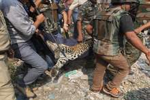 5cd2962bd4375095508b459b