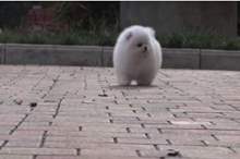 5cd6d44d95a597f0518b4577